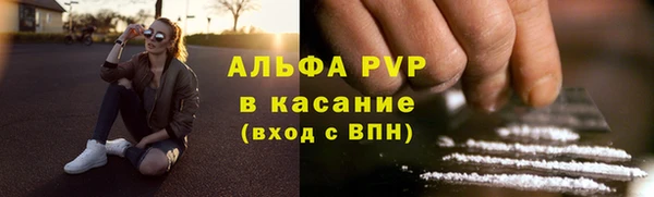 гашик Дмитровск