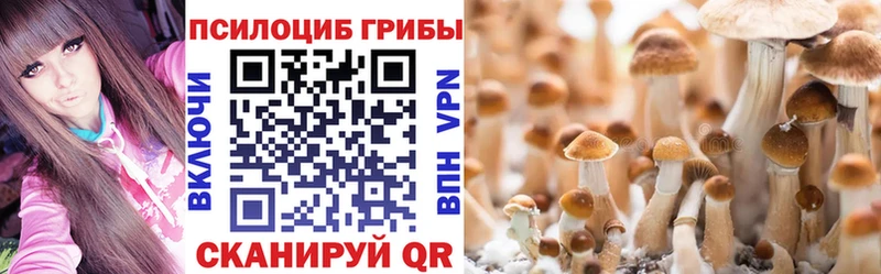 Купить где  Костомукша  Галлюциногенные грибы прущие грибы 